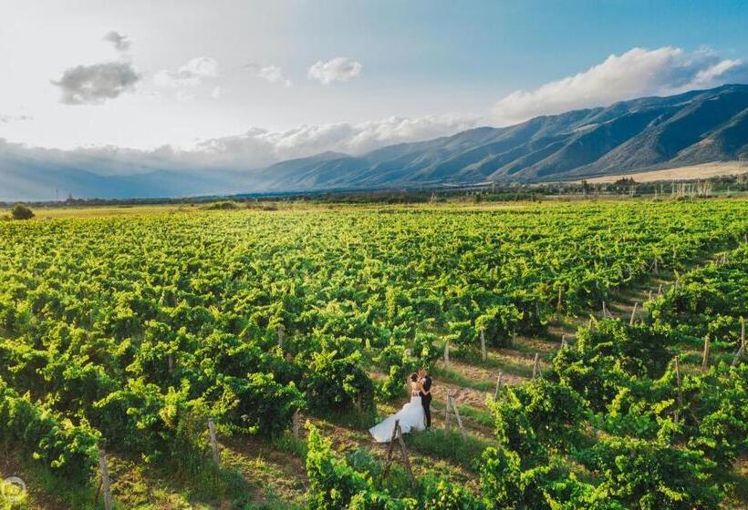 ホテル Chateau Copsa Complex