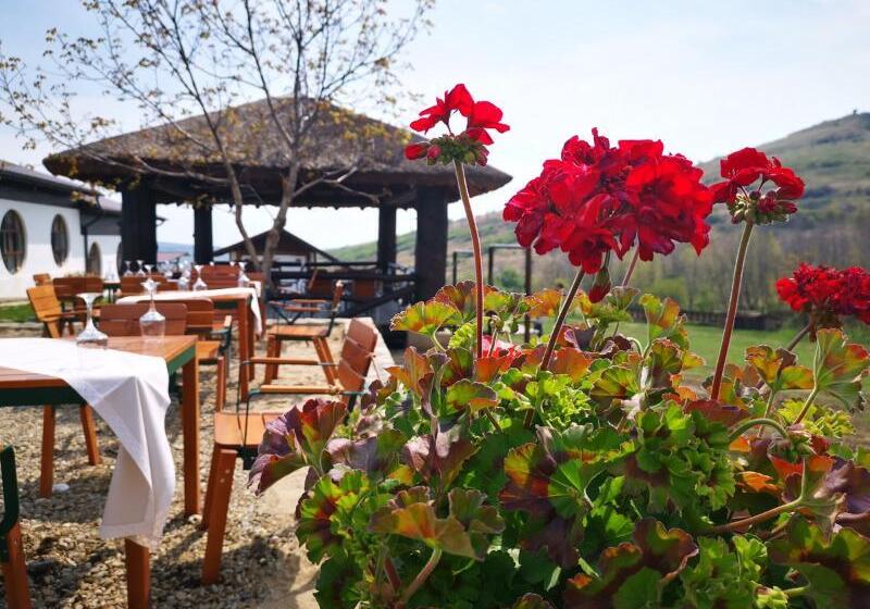 Отель Ferma Dacilor