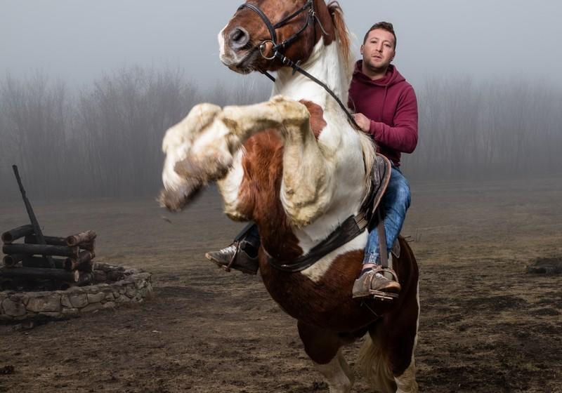 Отель Ferma Dacilor