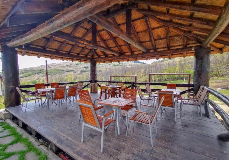 Отель Ferma Dacilor