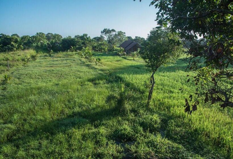 فندق Habarana Farm Cottage
