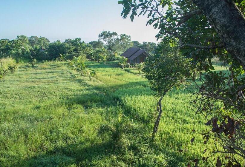 فندق Habarana Farm Cottage