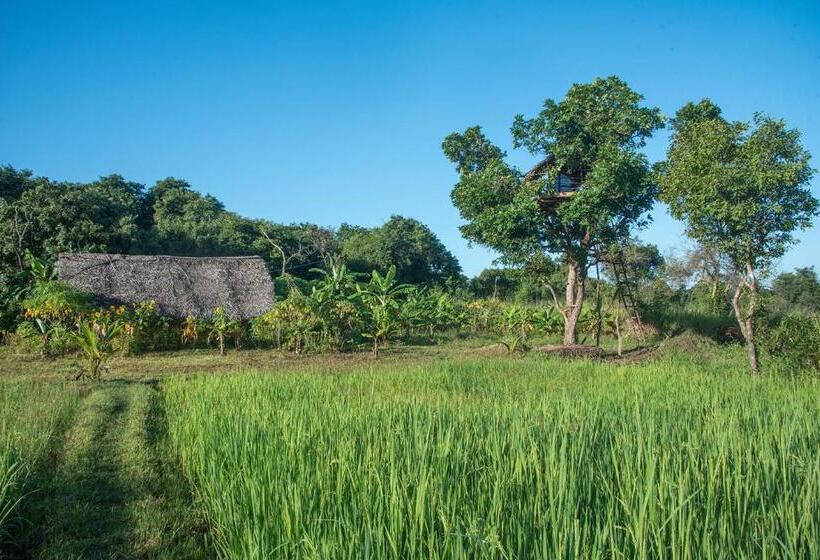 فندق Habarana Farm Cottage