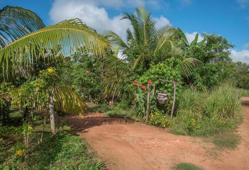 فندق Habarana Farm Cottage