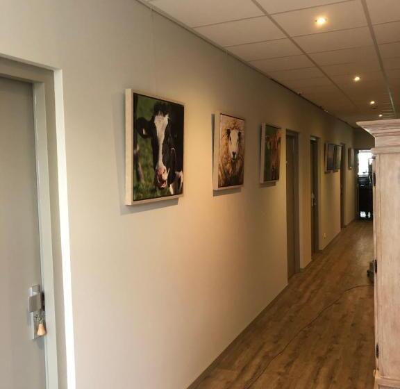 酒店 Herberg Binnen