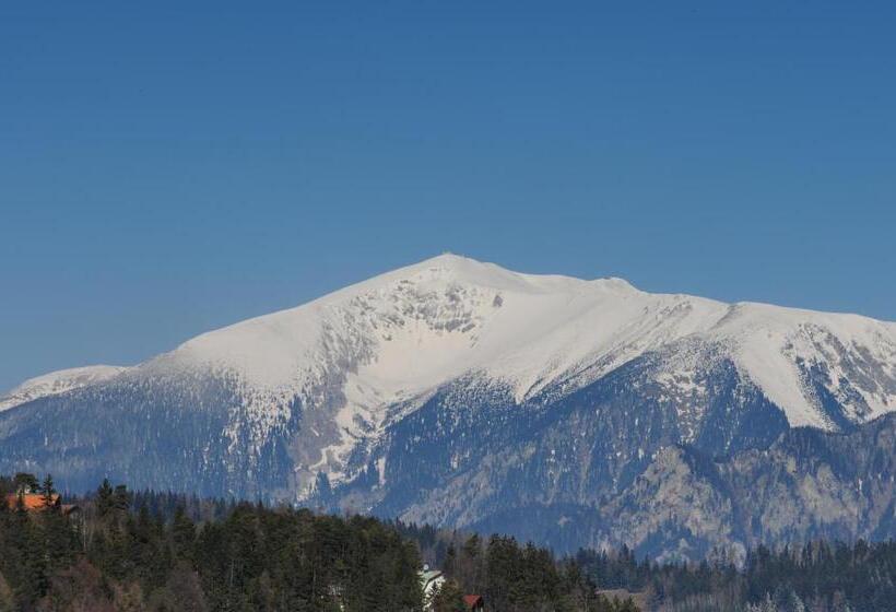 בית מלון כפרי Kirchenwirt In Maria Schutz
