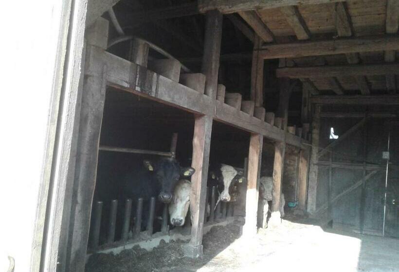 Отель Kreuzdellenhof _ Ferienwohnung