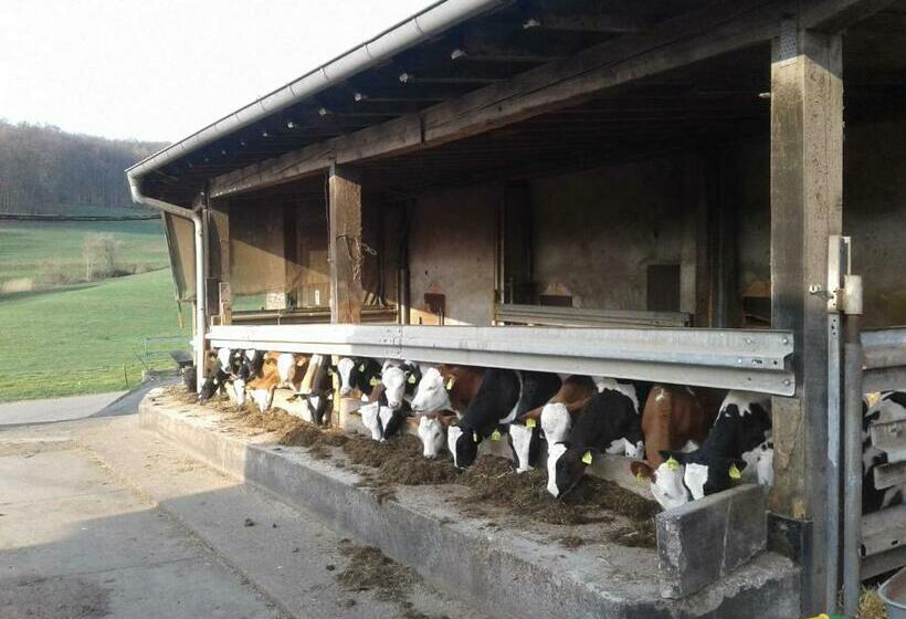 Отель Kreuzdellenhof _ Ferienwohnung