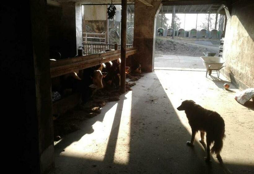 Отель Kreuzdellenhof _ Ferienwohnung