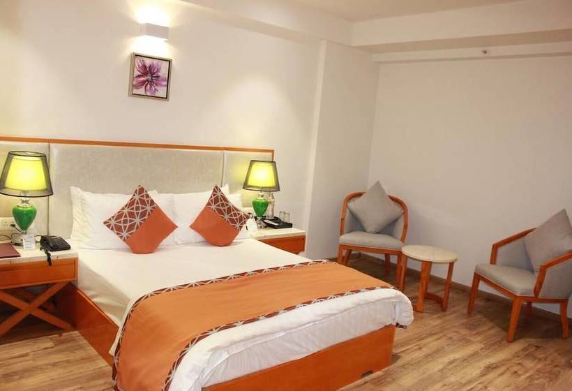 Mastiff Hotel Becharaji By Othpl