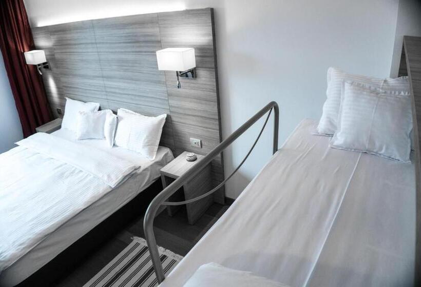 호텔 Pensiunea Negoiu