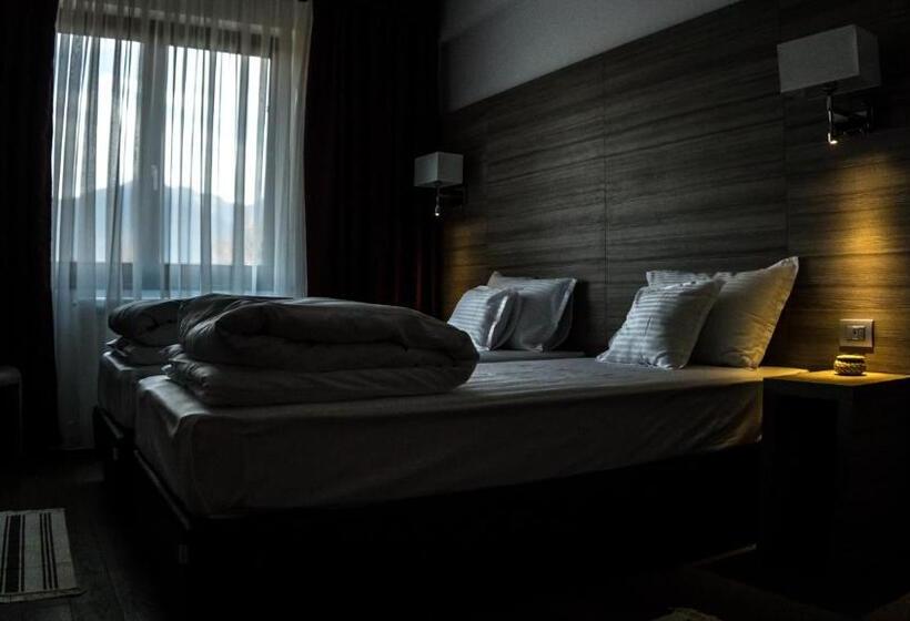 호텔 Pensiunea Negoiu