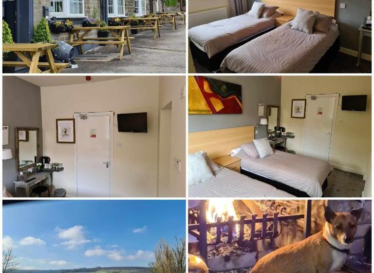 Отель The Shady Oak B&b