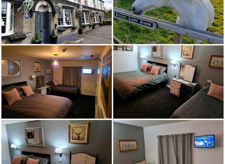 Отель The Shady Oak B&b