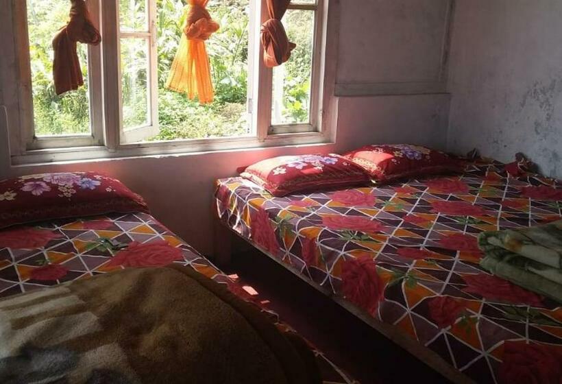 ホテル Vamoose Renu