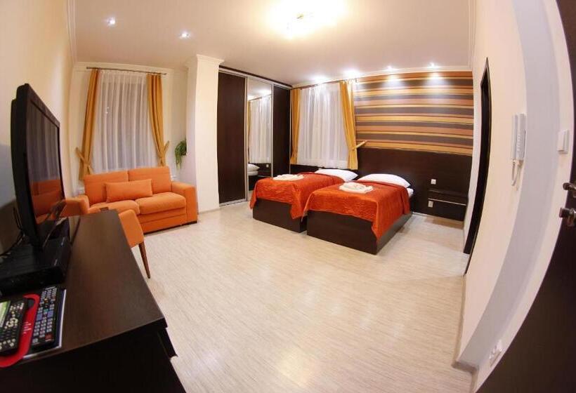 פנסיון Alnus Penzion