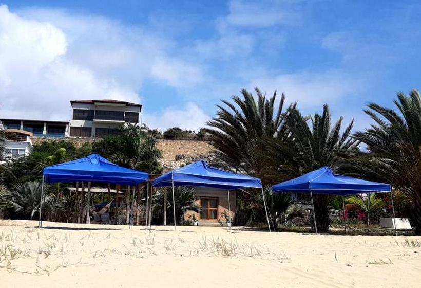 پانسیون Cucube