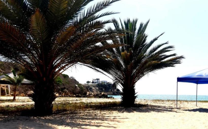 پانسیون Cucube