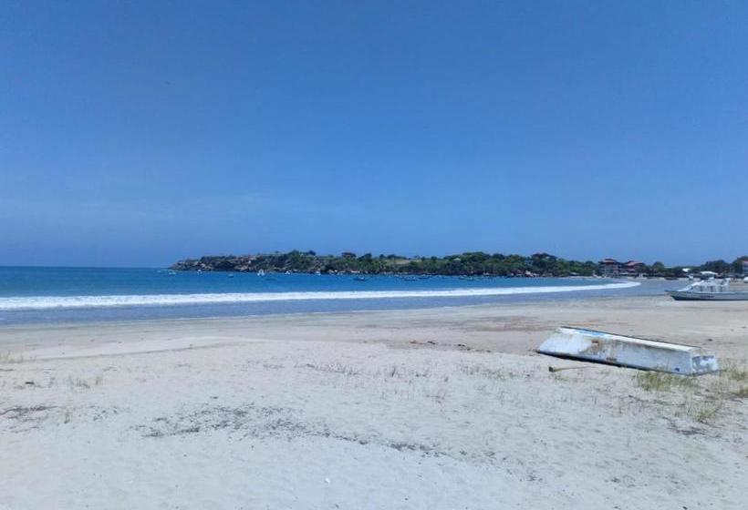 پانسیون Cucube