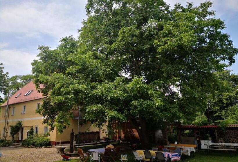 펜션 Gästehaus Liemehna