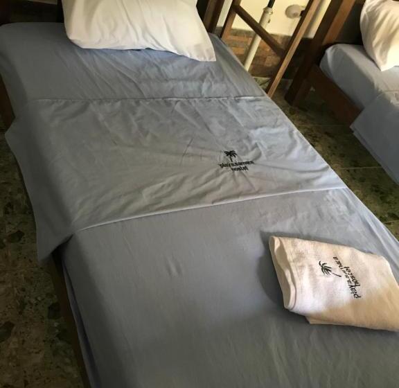 ペンション Playa Samara Hostel