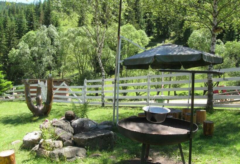 פנסיון Podina Guest House