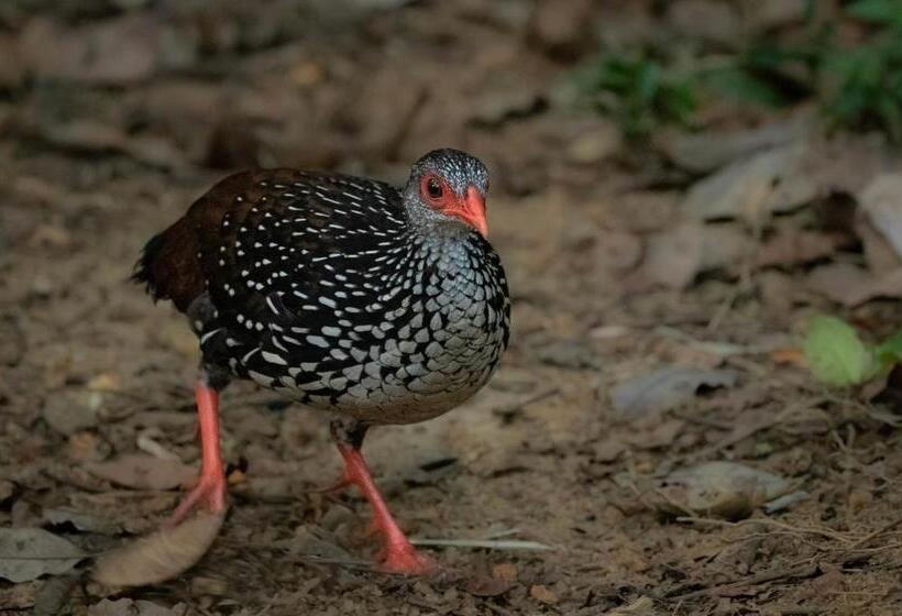 Пансион Rathnapriya Oasis