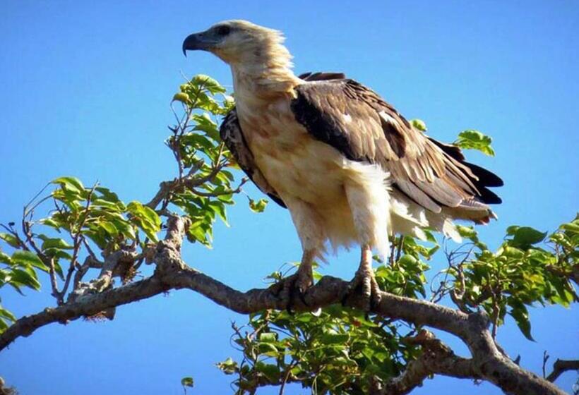Пансион Rathnapriya Oasis
