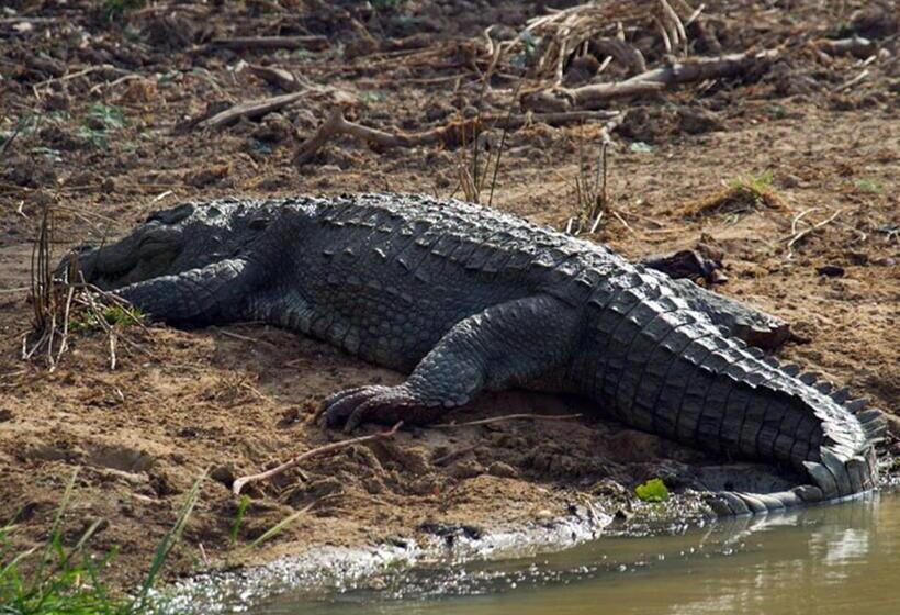 Пансион Rathnapriya Oasis