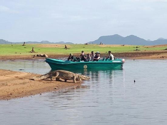 Пансион Rathnapriya Oasis