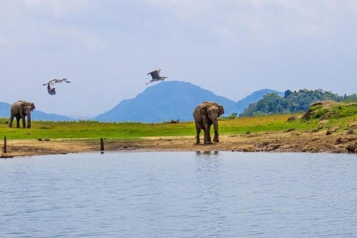 Пансион Rathnapriya Oasis