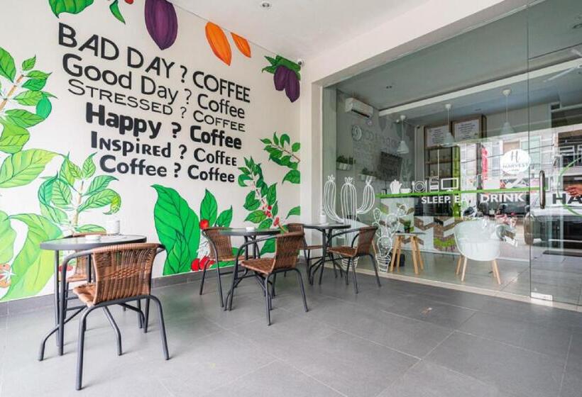 بنسيون Reddoorz Plus At Harvest Inn Panakkukang