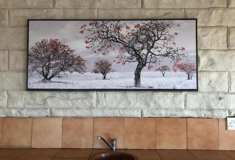 פנסיון Shelanti@n11