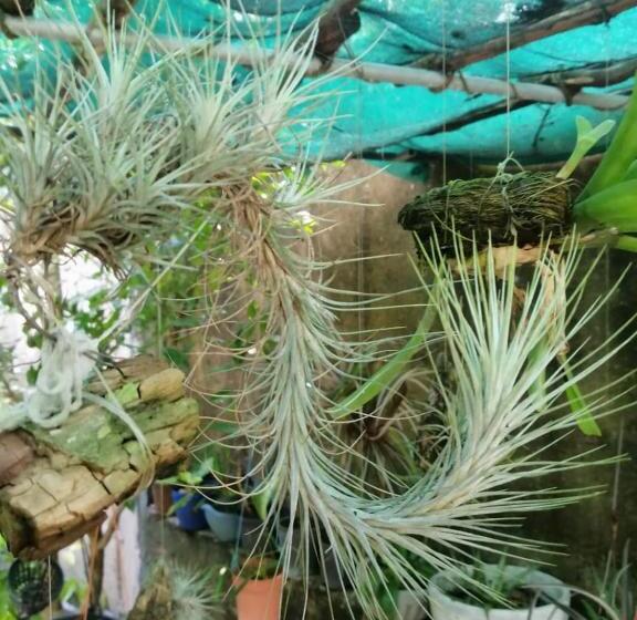 بنسيون Sinali Villa