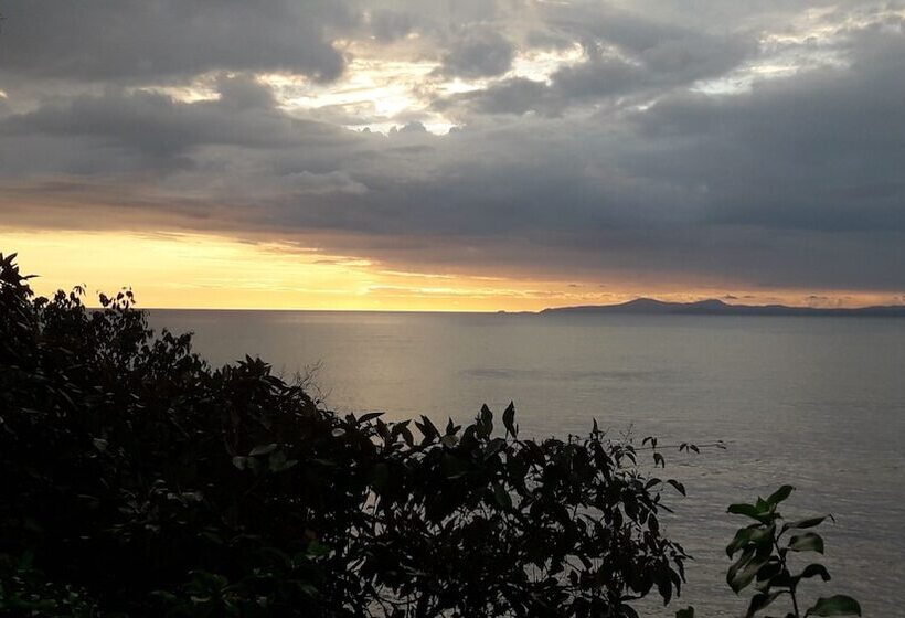 膳宿费 Triboo Hostel