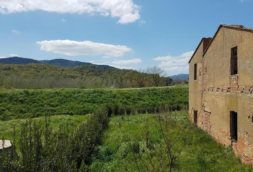 Valle Degli Etruschi B&b