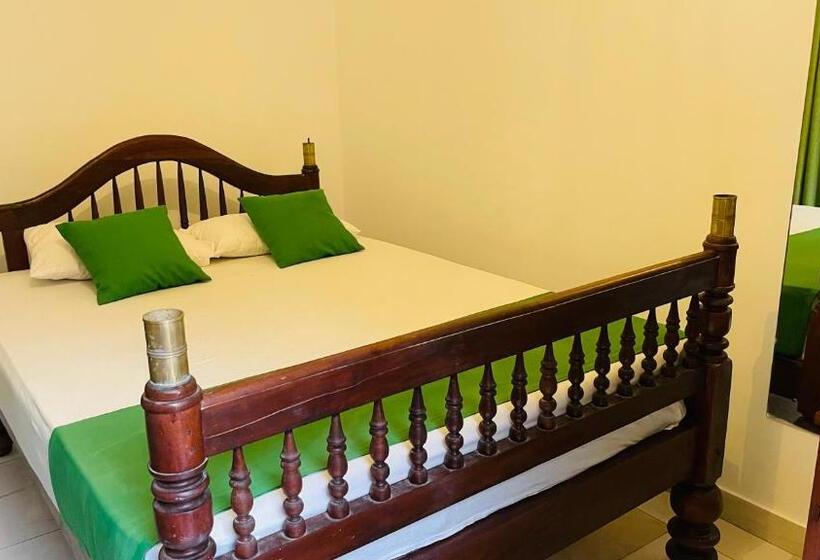 אתר נופש New Amadeo Beach