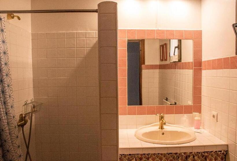 Apartamentos Y Habitaciones Casa Bego