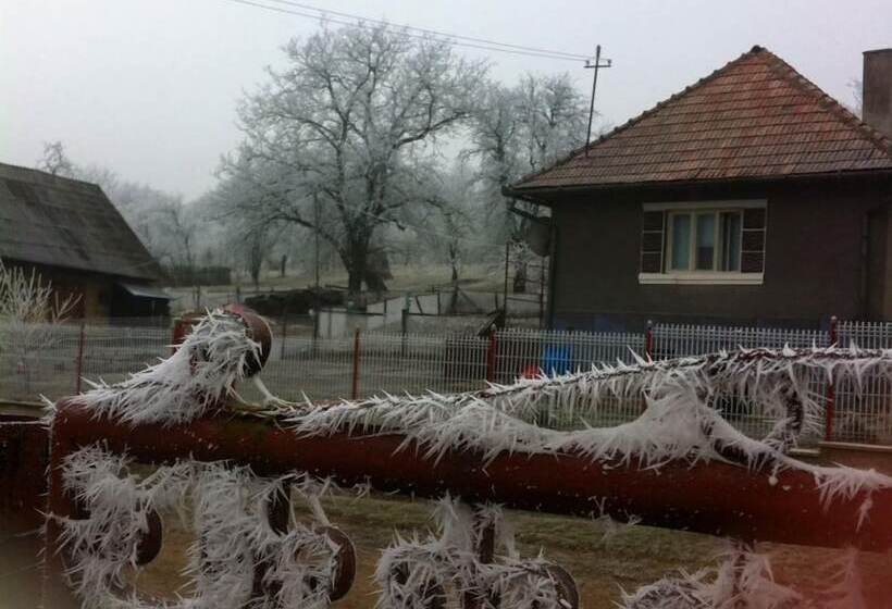 Badesti Farm House