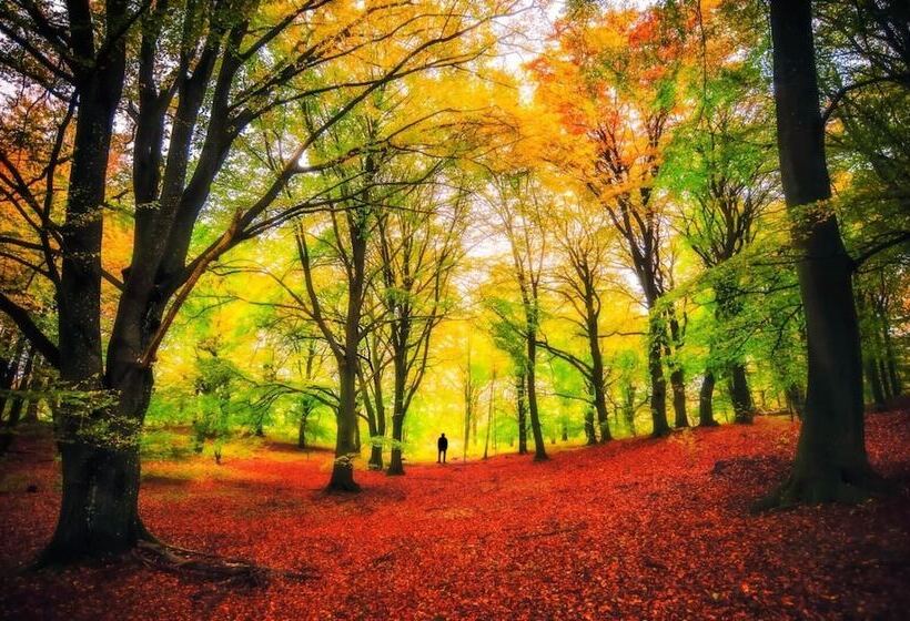 B&b Borgo Del Fornello