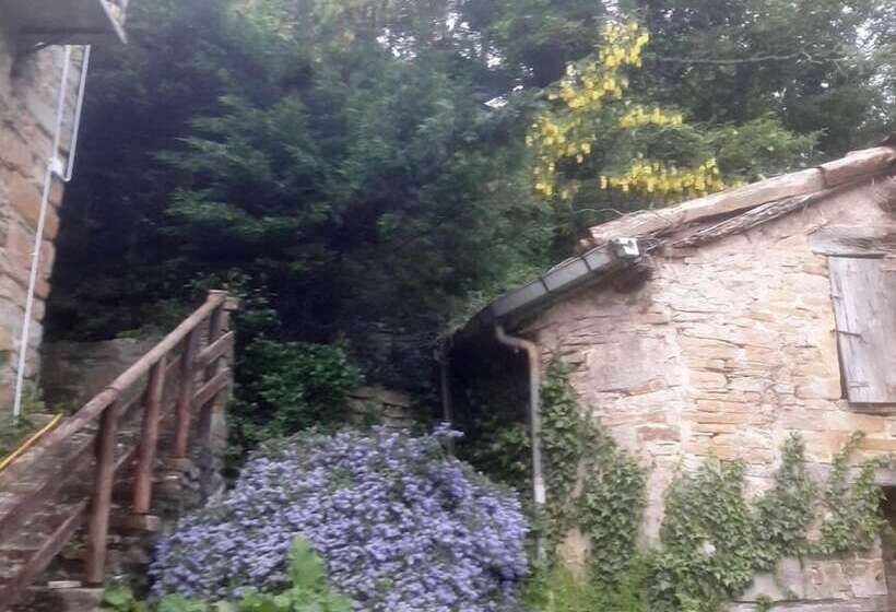 B&b Borgo Del Fornello