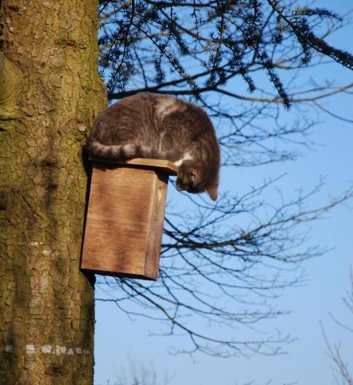 B&b Le Renard Dormant