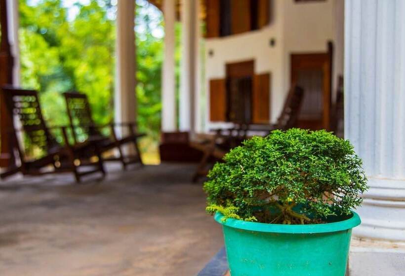 ベッドアンドブレックファースト Aqua Nillambe