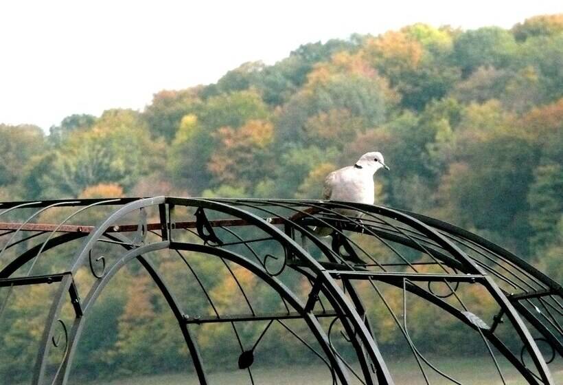 ベッドアンドブレックファースト Au Clos D'ardennes