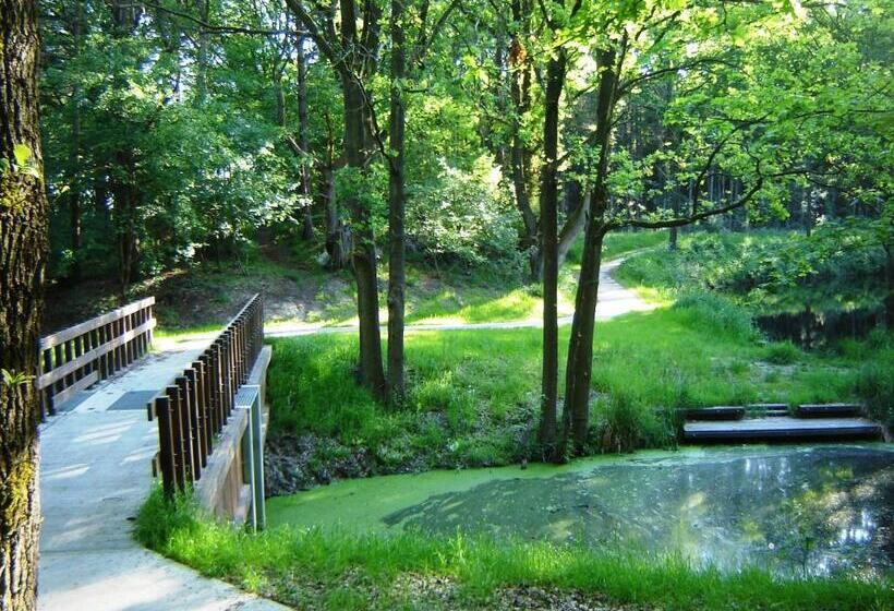 住宿加早餐  Bed En Breakfast De Boksloot