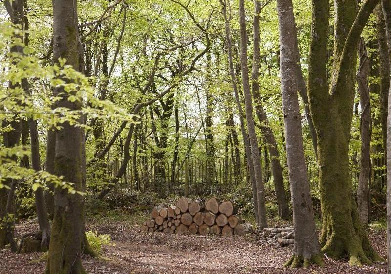 צימר Clonganny House