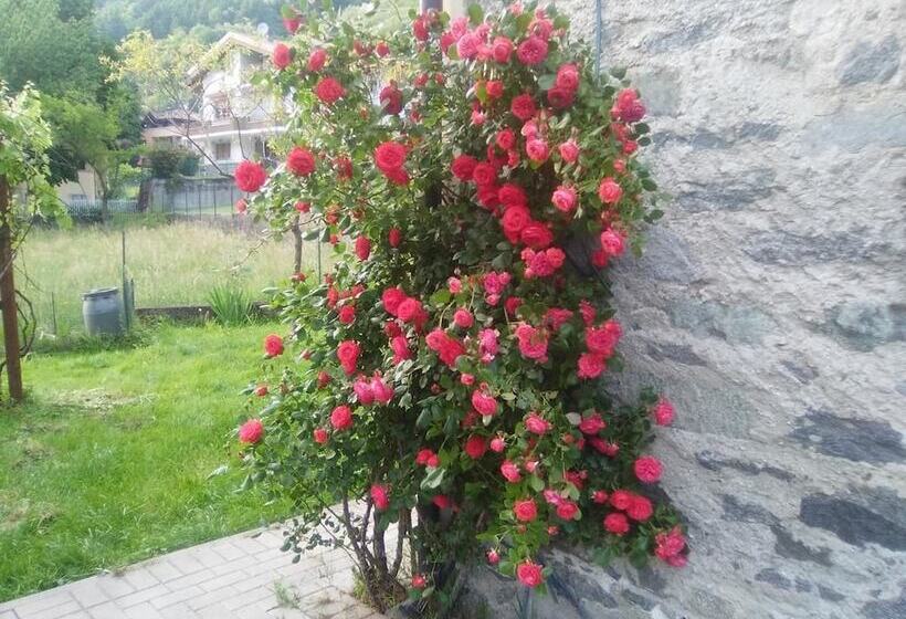 مبيت وإفطار Dolci Mele