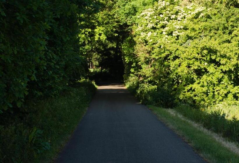 住宿加早餐  Erve De Bosch