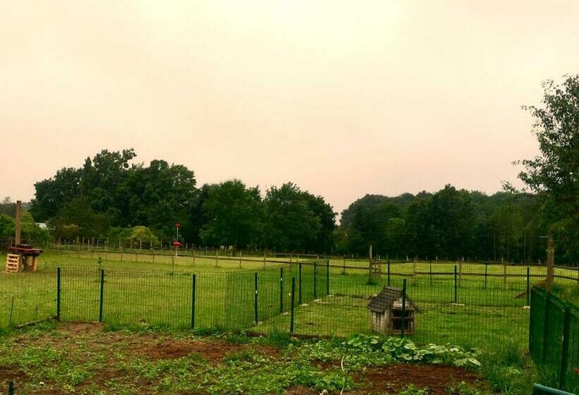 ベッドアンドブレックファースト La Petite Ferme