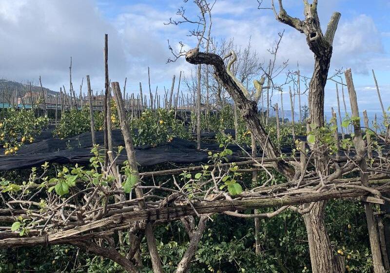 צימר Il Chiostro